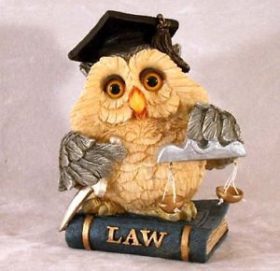 Neo laureato in legge