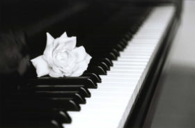 Regali per pianisti